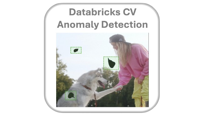 Databricks CV Anomaly Detection